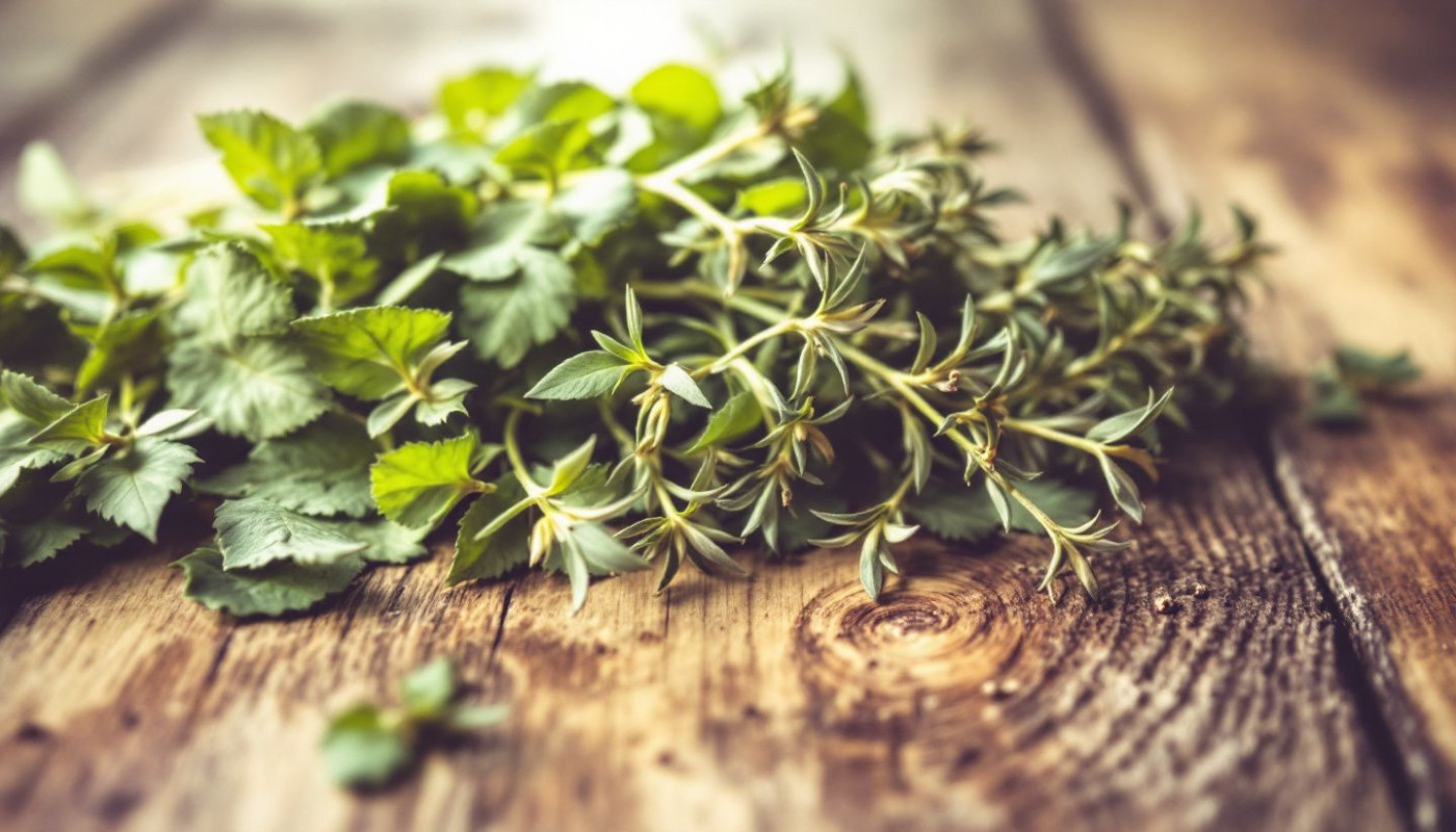 Découverte des bienfaits méconnus des herbes aromatiques sur la santé